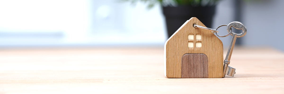 Imagen Pedir prestado