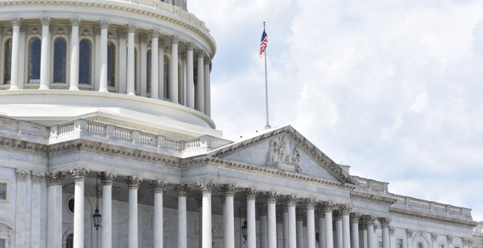 Capitol Building in Washington D.C.